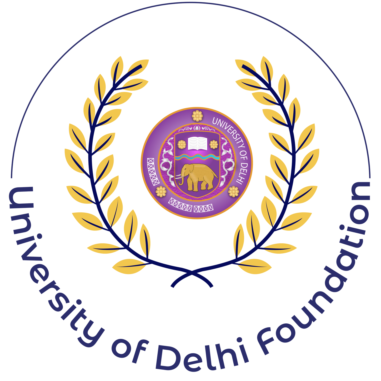 University Of Delhi Foundation